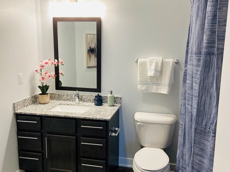 Luxurious Bathrooms at River Point West Apartments, Elkhart, Indiana